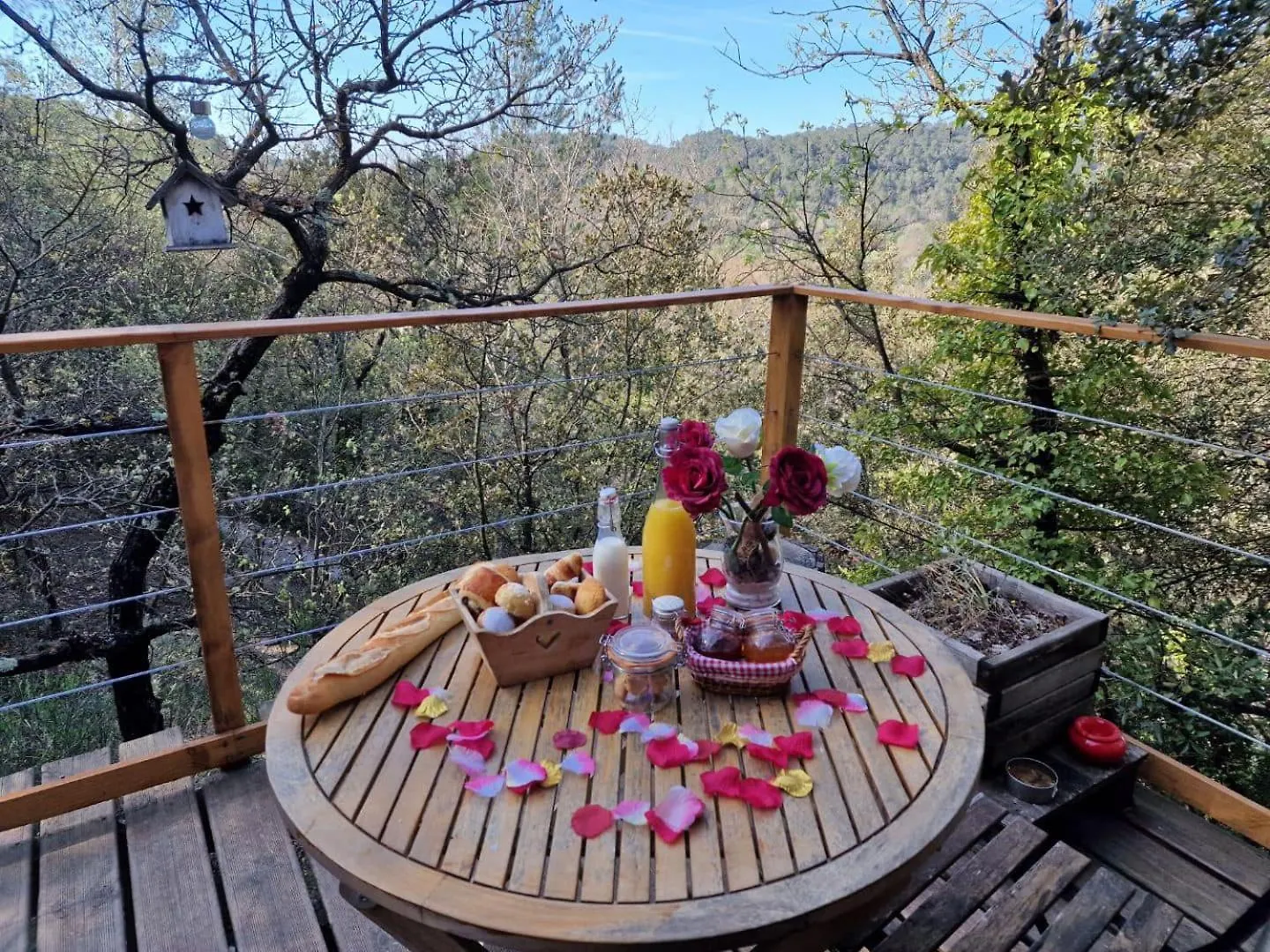 La Cabane Des Amoureux Barjols 0*,  France