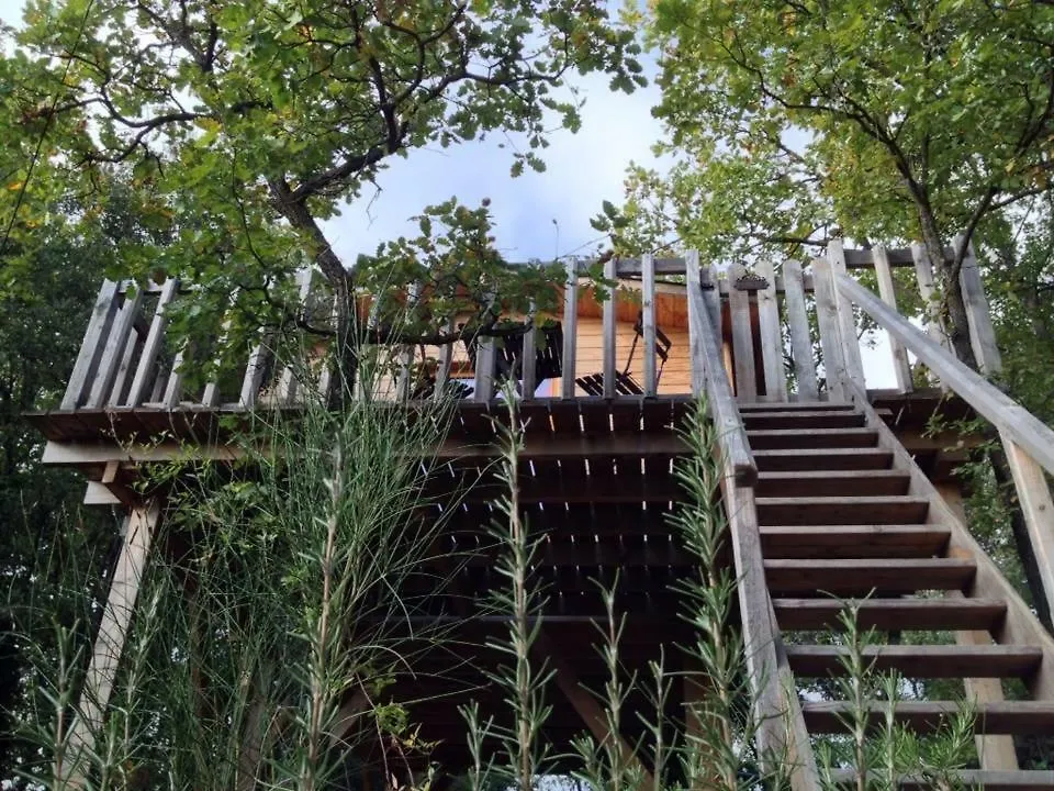 La Cabane Des Amoureux Barjols Bed & Breakfast