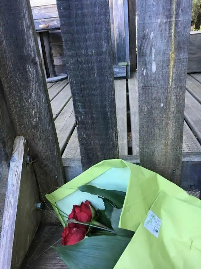 La Cabane Des Amoureux Barjols