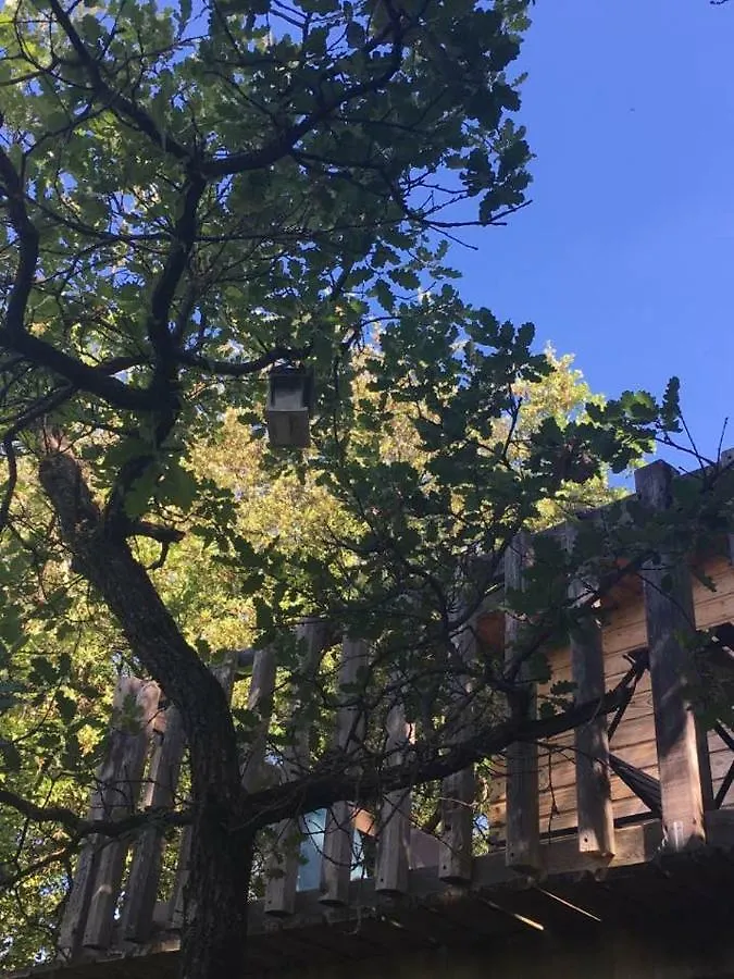 Bed & Breakfast La Cabane Des Amoureux Barjols